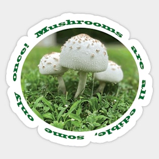 Mushrooms Sticker